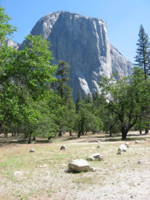 Tour dei Parchi, El Capitan (Yosemite NP, Stati Uniti)