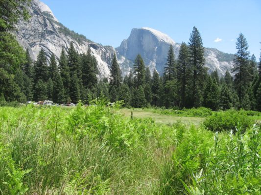 Tour dei Parchi, Half Dome (Yosemite NP, Stati Uniti)