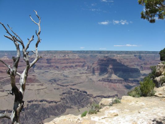 Tour dei Parchi, panorama da Hopi Point sul Grand Canyon (Arizona, Stati Uniti)