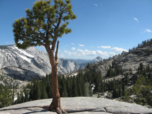 Tour dei Parchi, la valle di Yosemite vista da Olmsted point sulla Tioga Road (Stati Uniti)