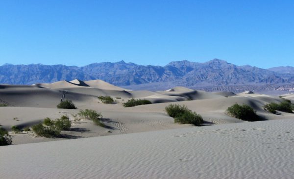 Tour dei Parchi, Mesquite Flat Sand Dunes (Death Valley, Stati Uniti)