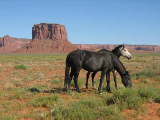 Tour dei Parchi, Monument Valley Tribal Park (Arizona, Stati Uniti)