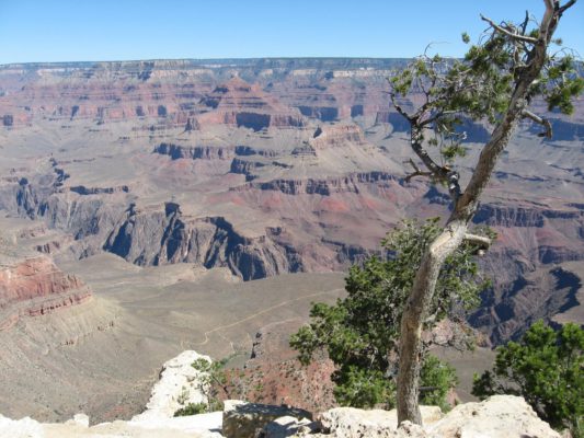 Tour dei Parchi, panorama da Yavapai Point nel Grand Canyon (Arizona, Stati Uniti)