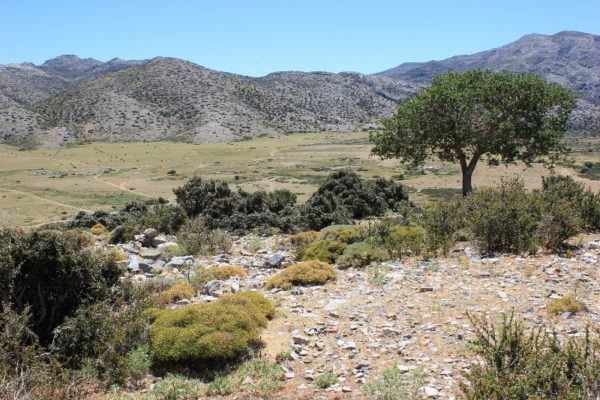 Panorama dell'altopiano di Nída a Creta