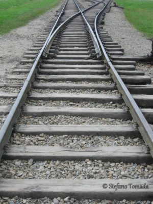 Birkenau Extermination Camp: Train Tracks