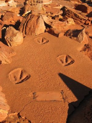 Impronte di dinosauro a Gatheaume Point a Broome in Australia