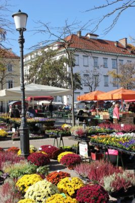 Il mercato dei fiori in piazza Vodnik a Lubiana