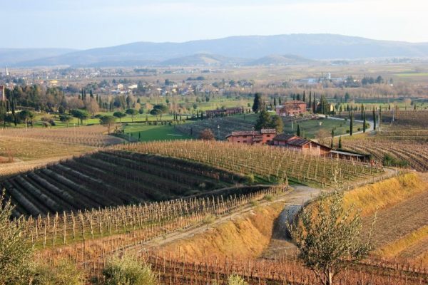 Panorama del Collio Goriziano