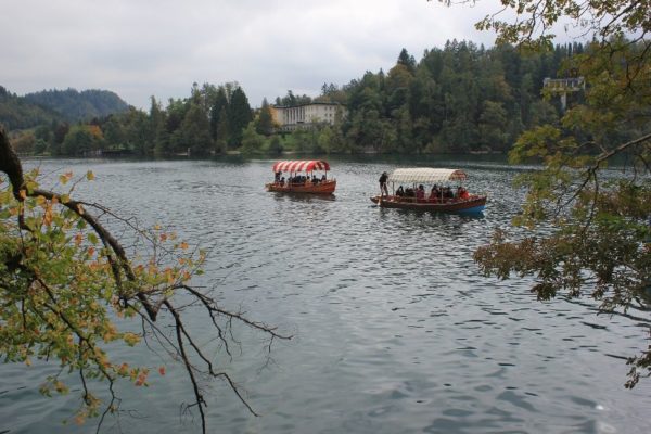 Pletna Bled Slovenia