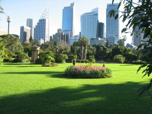 I Royal Botanic Gardens a Sydney