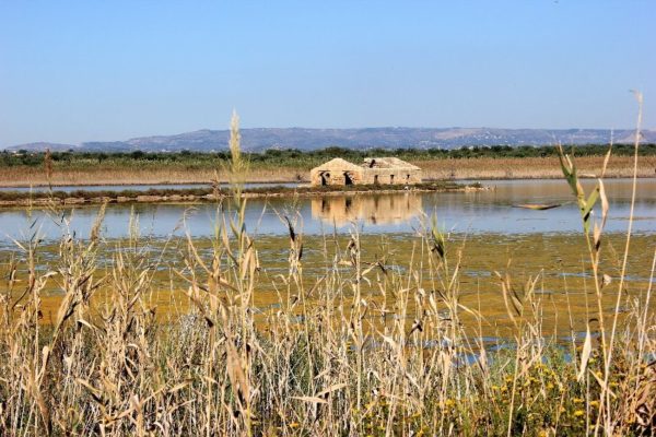 Pantano all'interno della Riserva di Vendicari