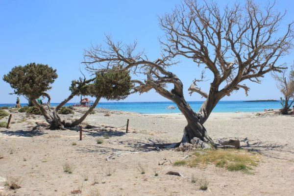 La spiaggia di Elafonísi a Creta