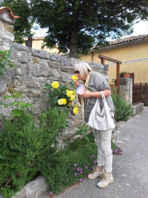 Rose per i vicoli di Roč (Rozzo) in Istria Croazia