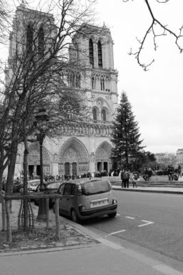 La Cathédrale de Notre-Dame a Parigi