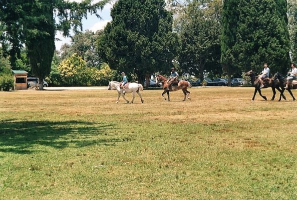 Passeggiata a cavallo Estancia Don Silvano a Capilla del Señor