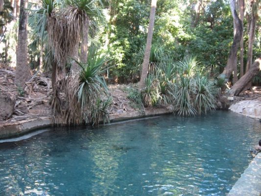 Pozze acqua Elsey National Park