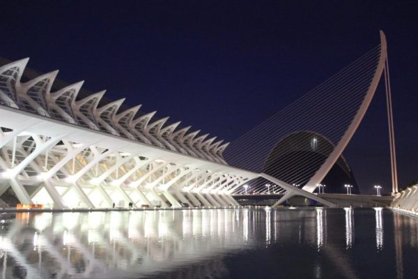 Vista notturna del Museo de las Ciencias Príncipe Felipe di Valencia