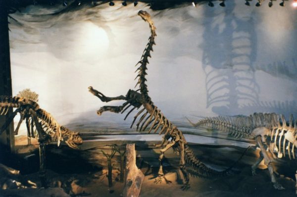 Museo paleontologico Egidio Feruglio di Trelew in Patagonia