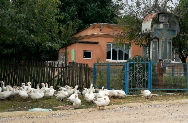 Oche in un villaggio rurale in Moldova