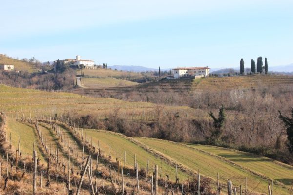 Paesaggio Colli Orientali Friuli