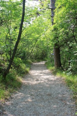 Sentiero Rilke nel bosco