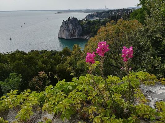 Rovine del castello vecchio di Duino