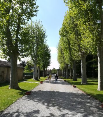 Viale accesso a Villa Dragoni Buttrio