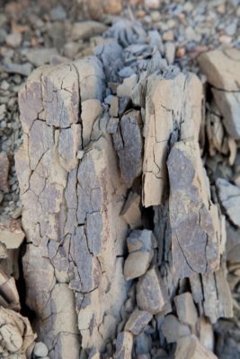 Il terreno dei Colli Orientali del Friuli