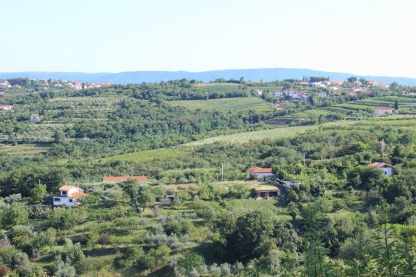 Panorama delle colline di Muggia