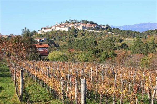 Panorama di Štanjel Slovenia