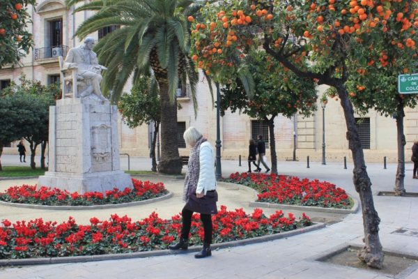 Le aiuole del giardino Carrer de Colon a Valencia