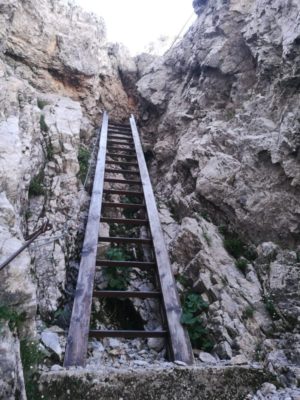 Scala metallica lungo la salita del sentiero Spinotti nelle Alpi Carniche