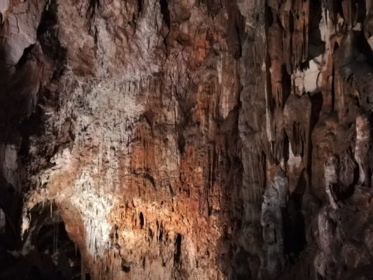 La parete superiore della Grotta Gigante in Friuli Venezia Giulia