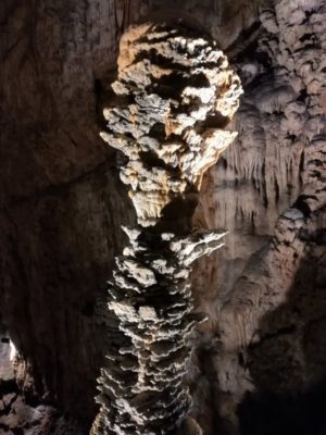 Una stalagmite nella Grotta Gigante in Friuli Venezia Giulia