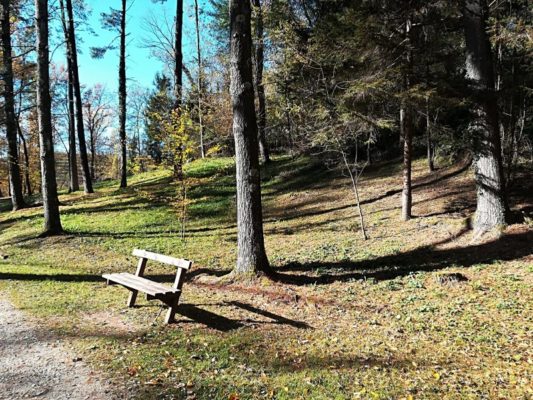 Il Bosco Romagno