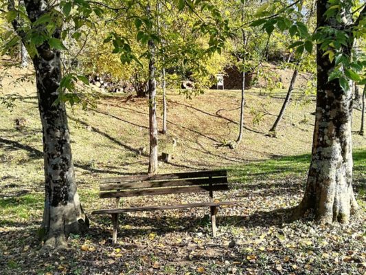 Una panchina in legno nel Bosco Romagno