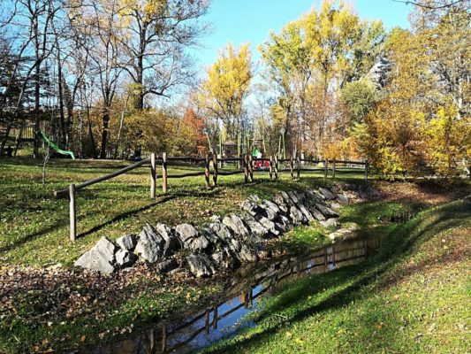 Il Rio Cornizza all'interno del Bosco Romagno