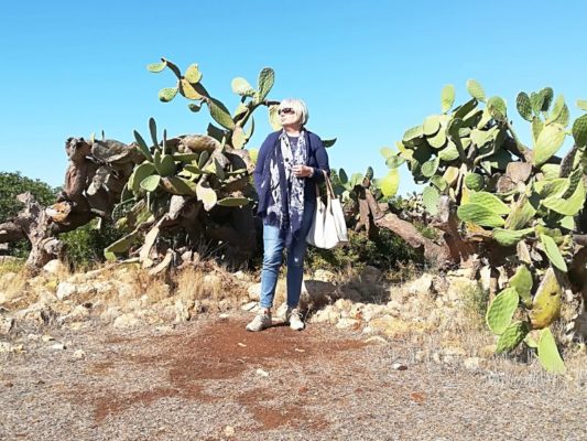 Piante di cactus nel Parco di Porto Selvaggio nel Salento