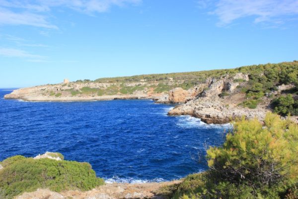 Il Parco Naturale di Porto Selvaggio nel Salento