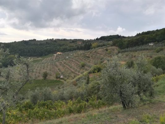 Tenuta dell'Azienda Agricola Altiero (Greve in Chianti)