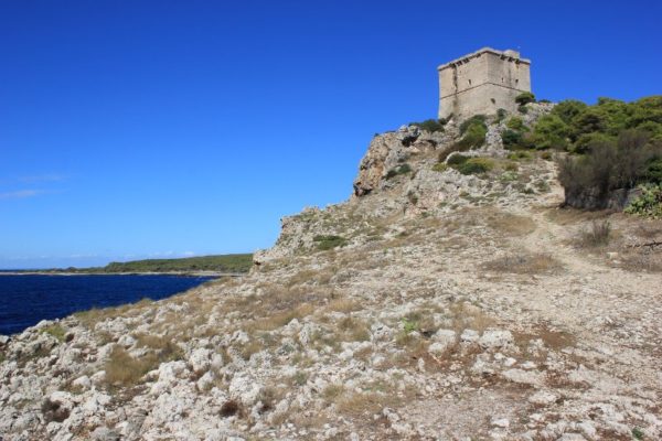 Torre dell'Alto Parco Naturale di Porto Selvaggio