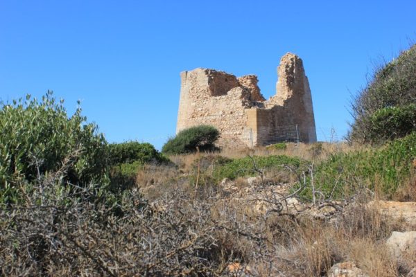 Torre Uluzzo nel Parco di Porto Selvaggio nel Salento