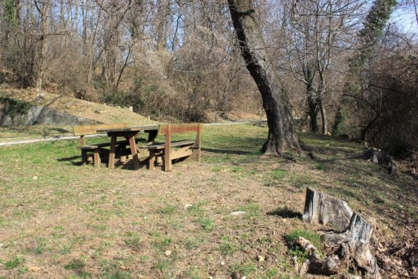 Tavolo da pic-nic nel Bosco Plessiva