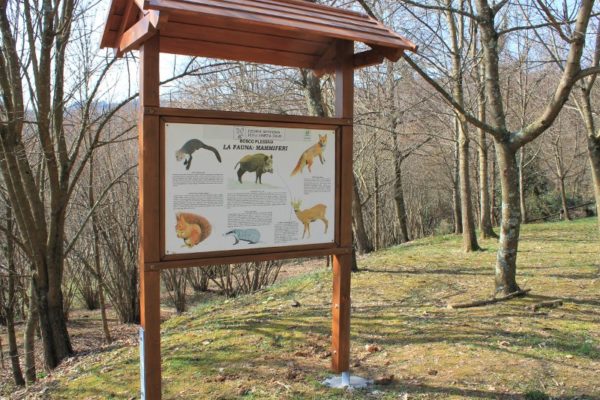 Cartello didattico sulla fauna presente nel Bosco di Plessiva