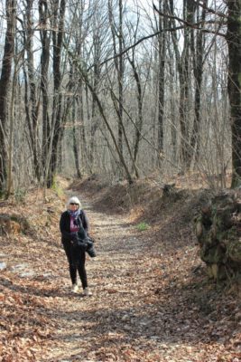 Un tratto del sentiero ad anello grande nel Bosco di Plessiva