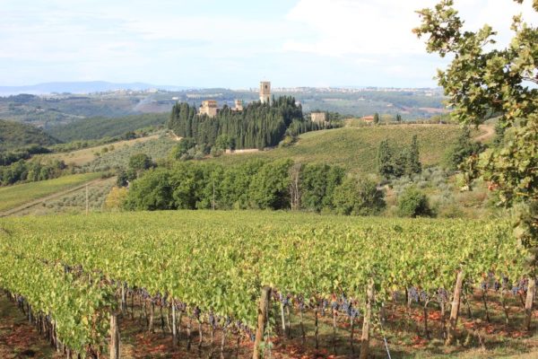 Panorama della Badia a Passignano