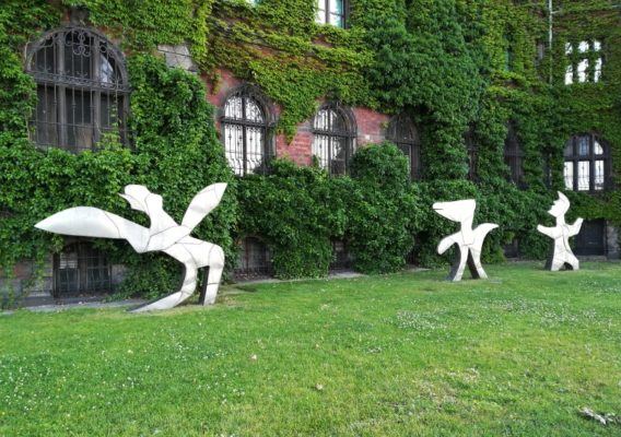 Giardino sul retro del Museo Nazionale a Breslavia