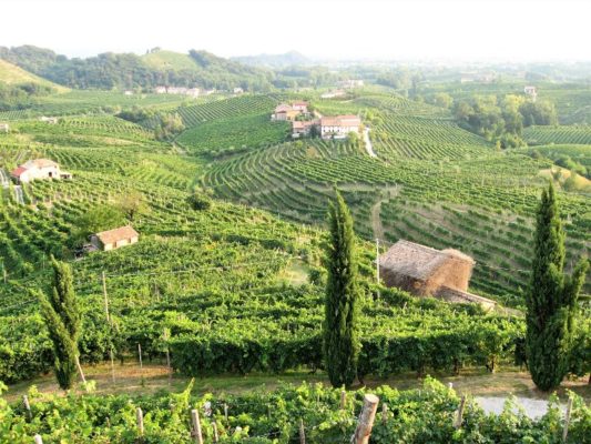 Le Colline del Prosecco nei dintorni di Valdobbiadene