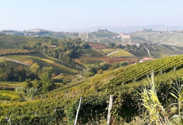 Paesaggio Patrimonio dell'Umanità per l'Unesco delle Langhe