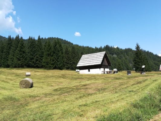 La zona dei prati in Val Bartolo